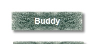 Buddy